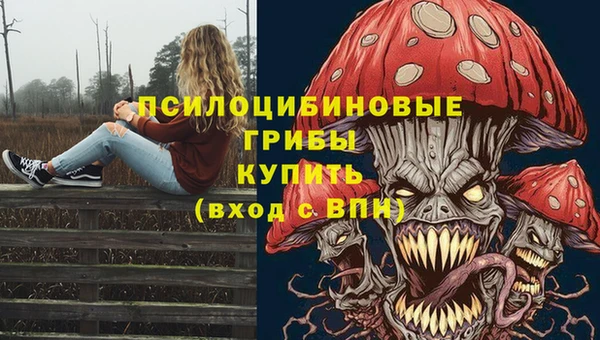амфетамин Козельск